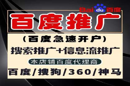 精准营销：百度推广平台的成功案例解析